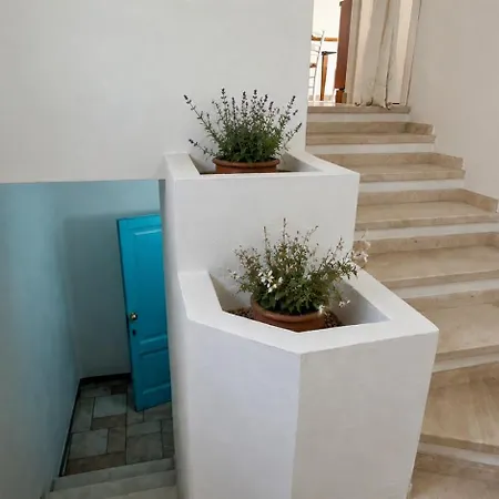 Mediterranean House * 多尔加利